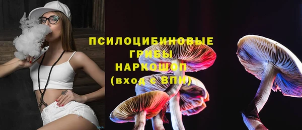 кокс Алексин