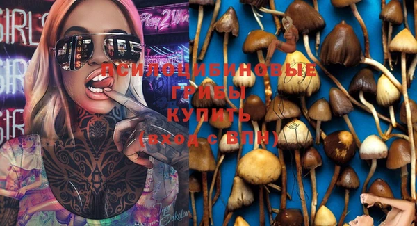 кокс Алексин